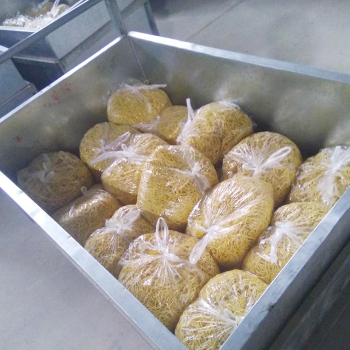 燃氣蒸汽發(fā)生器